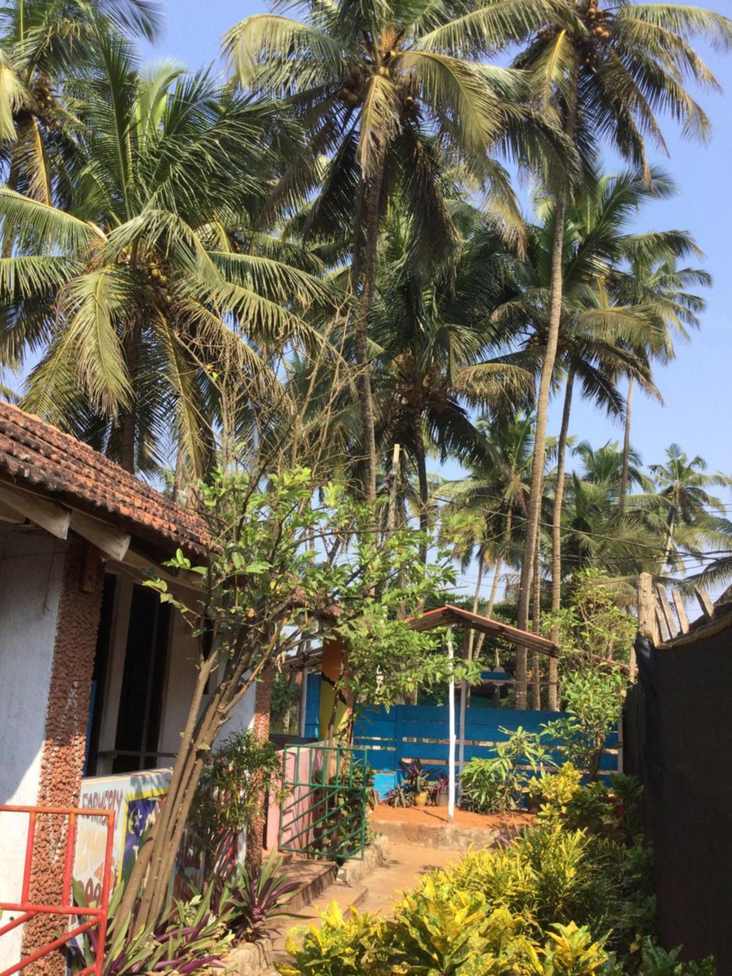 Hippie Hostel Or Goamazing Hostel Anjuna Exterior foto
